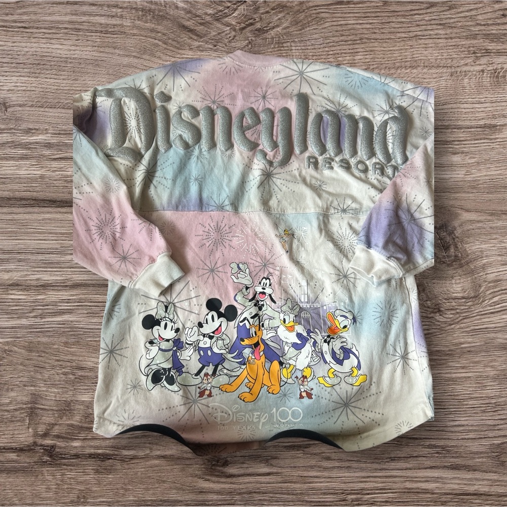 Disneyland 100 Anniversary spirit jersey - Small